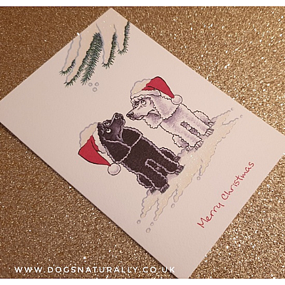 Poodle Christmas Card (Flitter Range)
